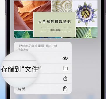 道孚apple维修中心分享iPhone文件应用中存储和找到下载文件