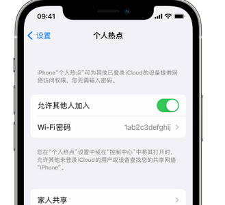 道孚apple服务站点分享iPhone上个人热点丢失了怎么办 