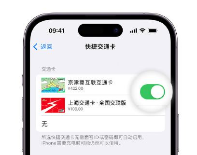 道孚apple维修点分享iPhone上更换Apple Pay快捷交通卡手绘卡面 