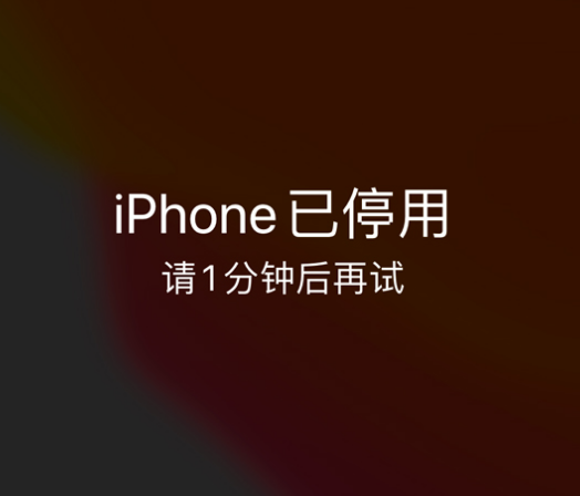 道孚苹果手机维修分享:iPhone 显示“不可用”或“已停用”怎么办？还能保留数据吗？ 