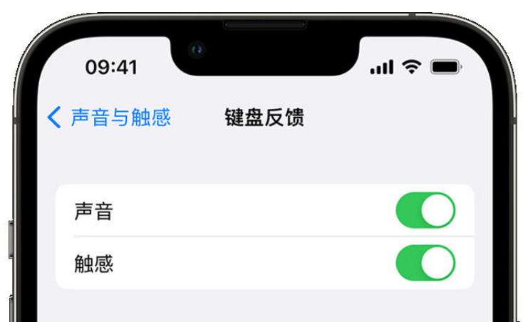 道孚苹果手机维修分享iPhone 14触感键盘使用方法 