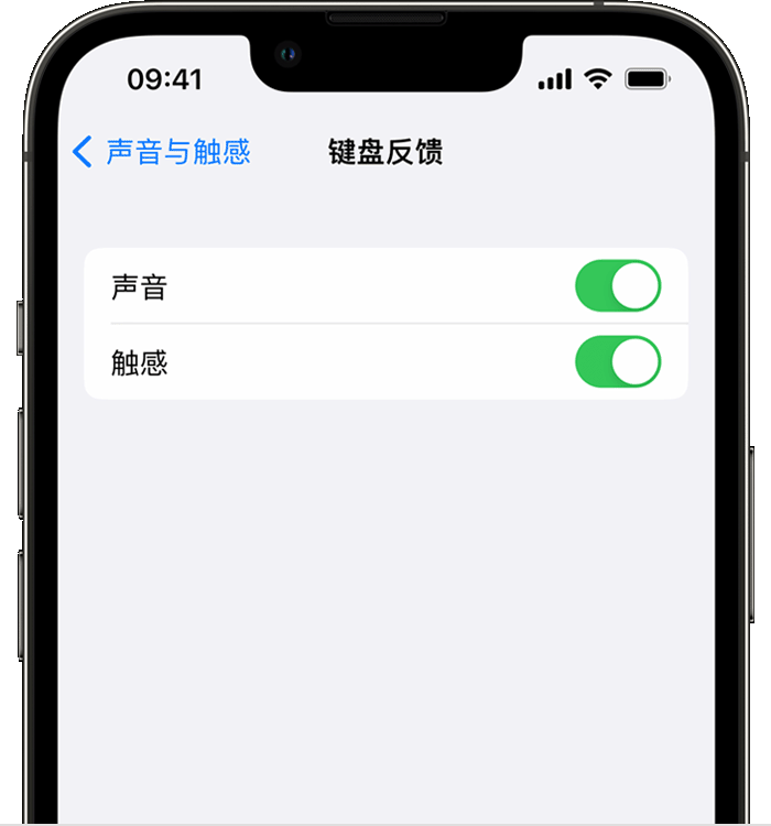 道孚苹果14维修店分享如何在 iPhone 14 机型中使用触感键盘 