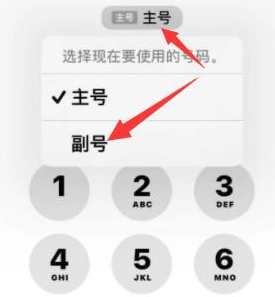 道孚苹果14维修店分享iPhone 14 Pro Max使用副卡打电话的方法 