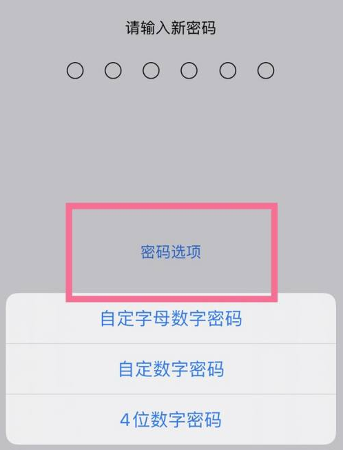 道孚苹果14维修分享iPhone 14plus设置密码的方法 