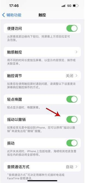 道孚苹果手机维修分享iPhone手机如何设置摇一摇删除文字 