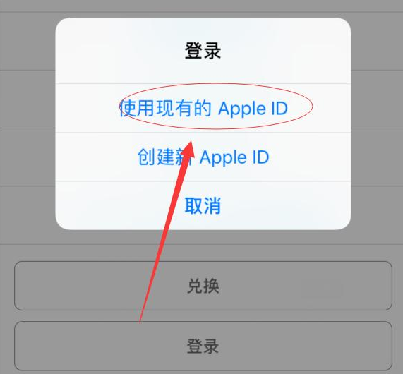 道孚苹果手机维修分享两台iPhone设备可以同时登录一个Apple ID吗 