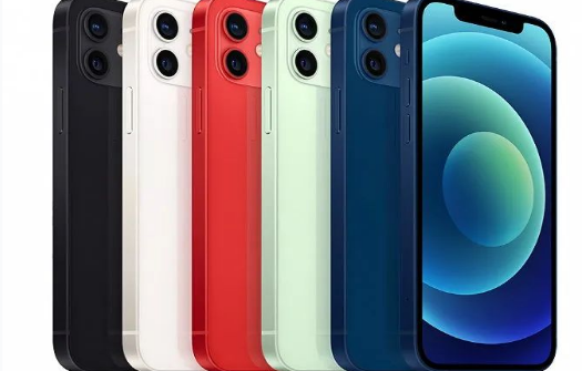 道孚苹果维修点分享iPhone12 Pro Max进水维修 